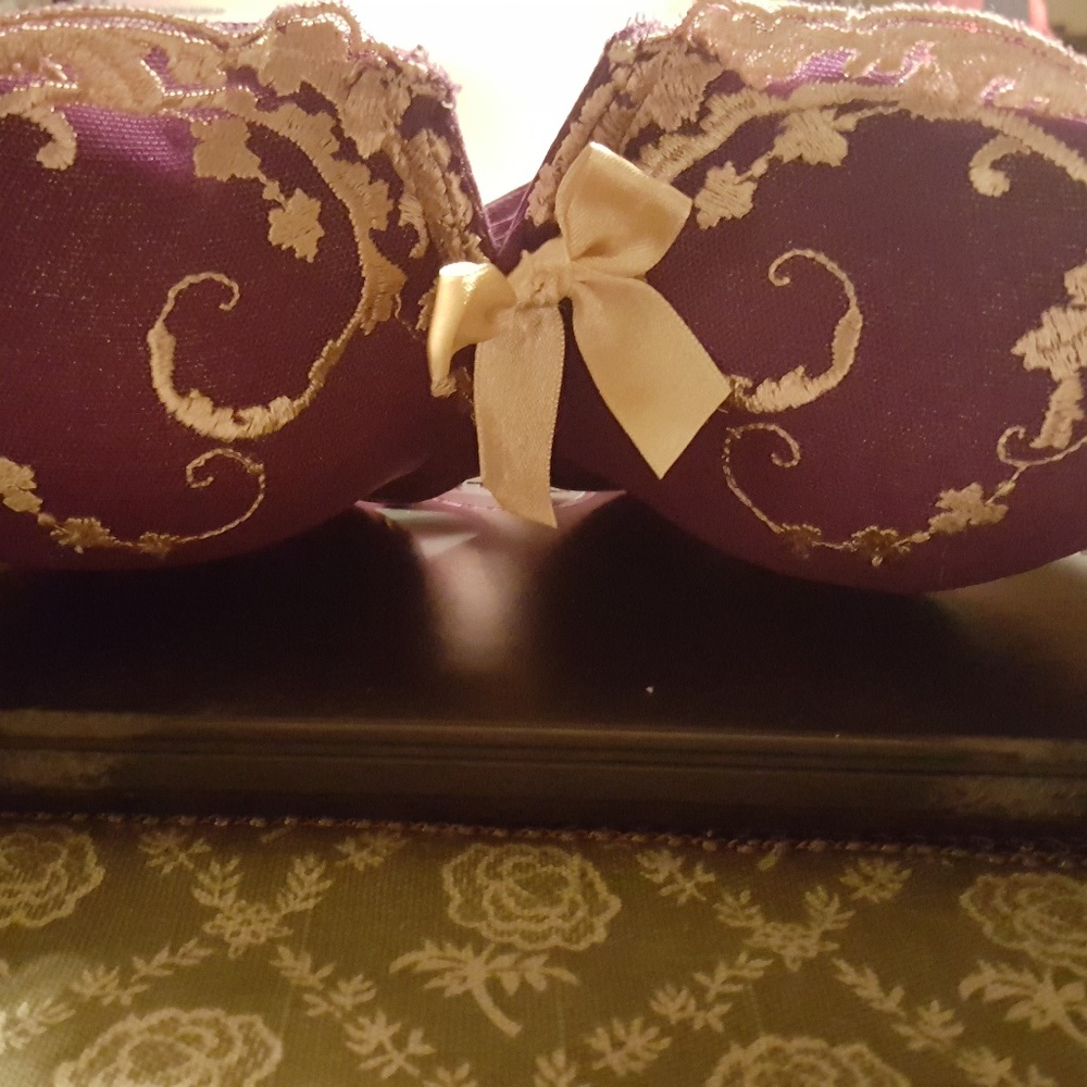 Cacique Bra & Panty Set SZ 36DDD SZ 12
